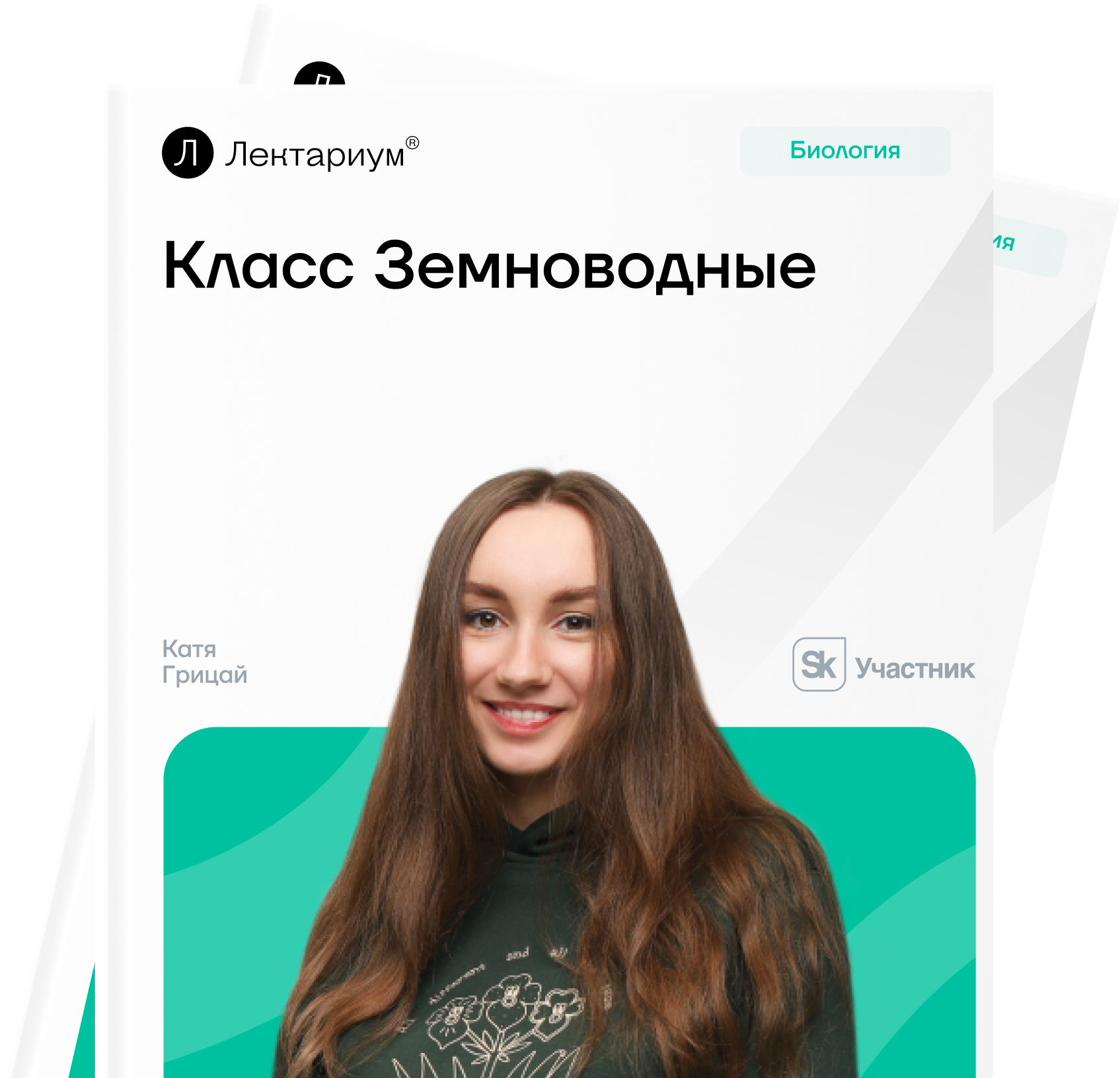 Земноводные: лягушка на влажной поверхности